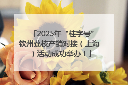 2025年“桂字号”钦州荔枝产销对接（上海）活动成功举办！