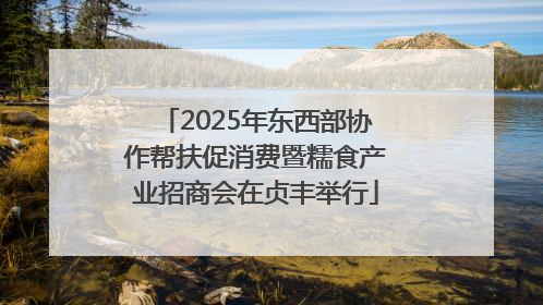 2025年东西部协作帮扶促消费暨糯食产业招商会在贞丰举行