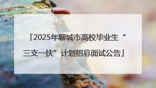 2025年聊城市高校毕业生“三支一扶”计划招募面试公告