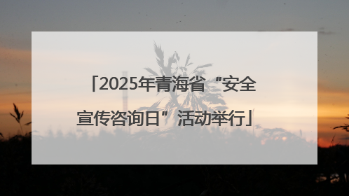 2025年青海省“安全宣传咨询日”活动举行