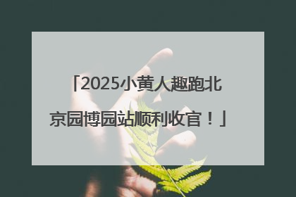 2025小黄人趣跑北京园博园站顺利收官！