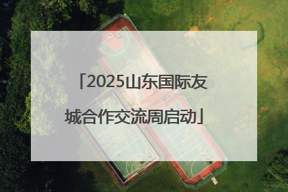 2025山东国际友城合作交流周启动