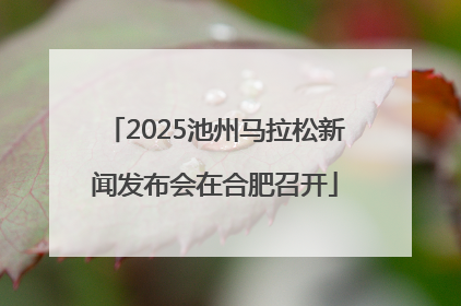 2025池州马拉松新闻发布会在合肥召开