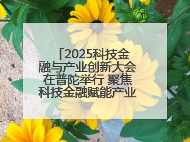 2025科技金融与产业创新大会在普陀举行 聚焦科技金融赋能产业升级之策
