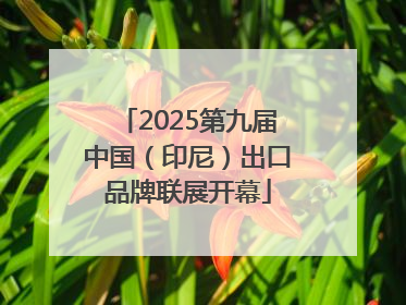 2025第九届中国（印尼）出口品牌联展开幕