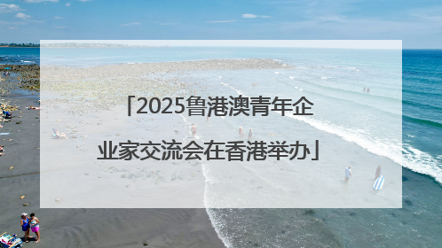 2025鲁港澳青年企业家交流会在香港举办