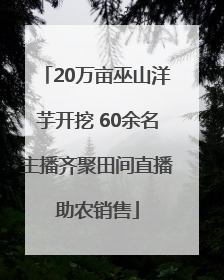 20万亩巫山洋芋开挖 60余名主播齐聚田间直播助农销售