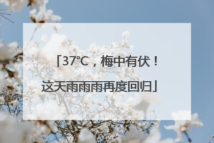 37℃，梅中有伏！这天雨雨雨再度回归