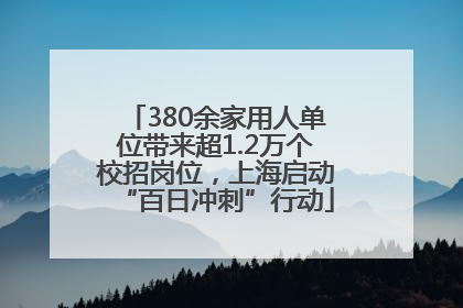 380余家用人单位带来超1.2万个校招岗位，上海启动“百日冲刺”行动