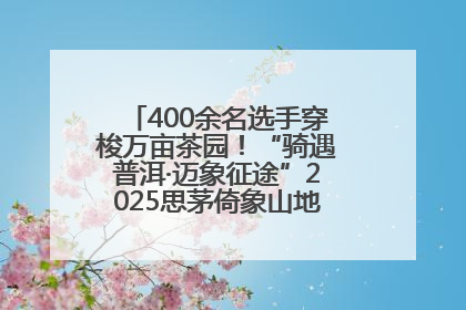400余名选手穿梭万亩茶园！“骑遇普洱·迈象征途”2025思茅倚象山地自行车赛圆满举行