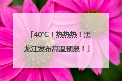 40℃！热热热！黑龙江发布高温预报！