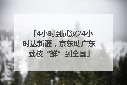 4小时到武汉24小时达新疆，京东助广东荔枝“鲜”到全国