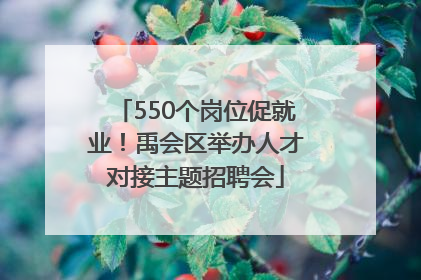 550个岗位促就业！禹会区举办人才对接主题招聘会