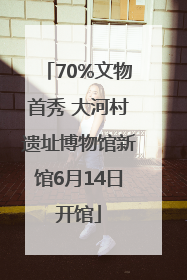 70%文物首秀 大河村遗址博物馆新馆6月14日开馆