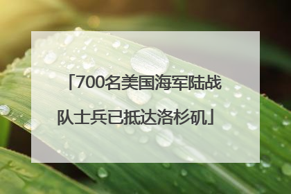 700名美国海军陆战队士兵已抵达洛杉矶