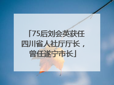 75后刘会英获任四川省人社厅厅长，曾任遂宁市长