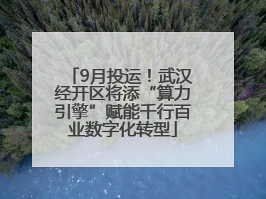 9月投运！武汉经开区将添“算力引擎”赋能千行百业数字化转型