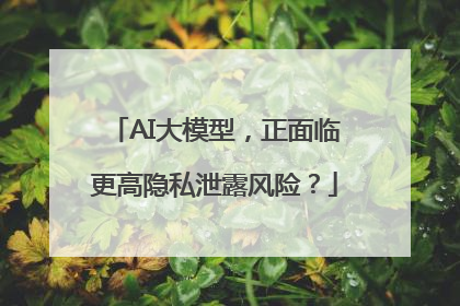 AI大模型，正面临更高隐私泄露风险？