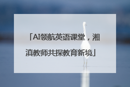 AI领航英语课堂，湘滇教师共探教育新境