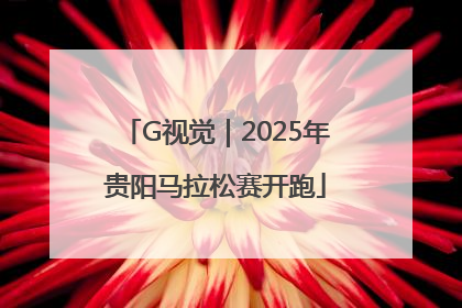 G视觉｜2025年贵阳马拉松赛开跑