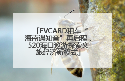 EVCARD租车“海南遇知音”再启程，520海口巡游探索文旅经济新模式