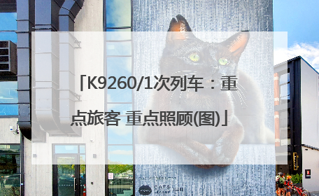 K9260/1次列车：重点旅客 重点照顾(图)