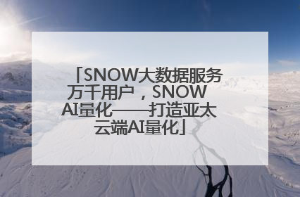 SNOW大数据服务万千用户，SNOW AI量化——打造亚太云端AI量化